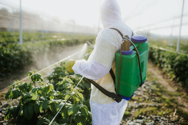 Flea Control Services in Dixon, MO